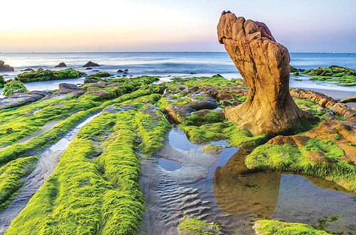Ninh Thuận's Cổ Thạch Beach