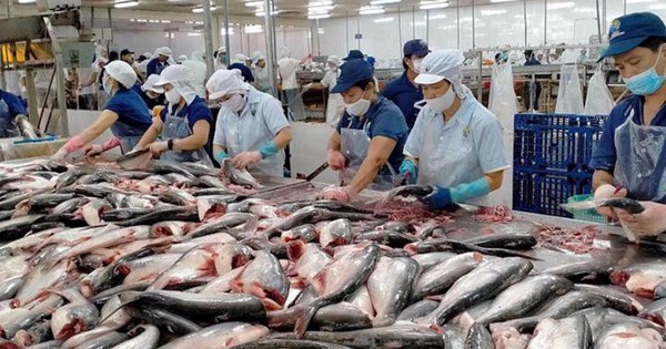 Minh Quý Seafood Processing Limited Liability Company